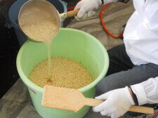 ポン菓子りんかけ画像